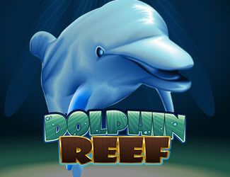 dafabet_dolphin_reef 德信娱乐海豚乐园